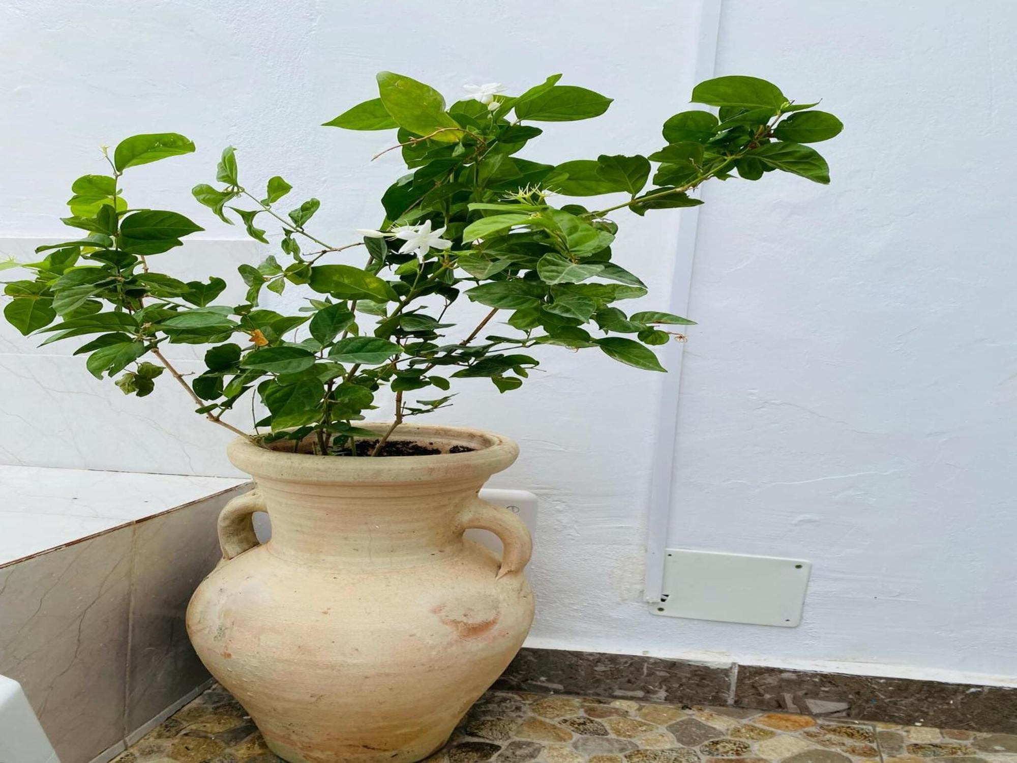 Apartamento Le Refuge Djerbien Houmt El Souk Exterior foto